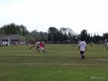 AFUCO11F 019