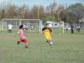 AFUCO11F 171
