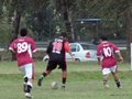 AFUCO11F 069