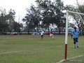 AFUCO11F 017