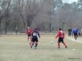 AFUCO16F 176