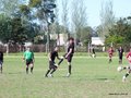 AFUCO10FC 115