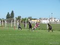 AFUCO10FC 121