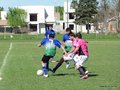 AFUCO10FC 137