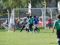 AFUCO10FA2013 080