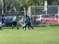 AFUCO10FA2013 081