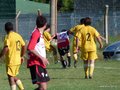 AFUCO10FA2013 088