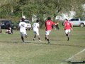 AFUCO11FA2013 057