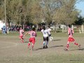 AFUCO13FA2013 059