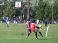 AFUCO1FA2013 084