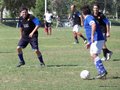 AFUCO1FA2013 079