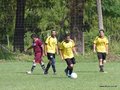 AFUCO2FA2013 066