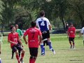 AFUCO4FA2013 070