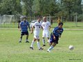 AFUCO4FA2013 086