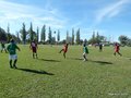 AFUCO7FA2013 049