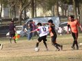 AFUCO6FC2013 101