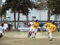 AFUCO8FC2013 053