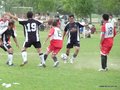 AFUCO_FINAL_C2013 215