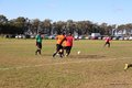 IMG_6534