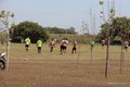 IMG_2288