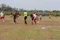 IMG_2282