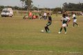 IMG_3971