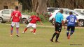 IMG_3941