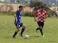 IMG_6382