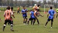 IMG_7118
