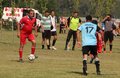 IMG_8646
