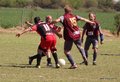 IMG_6031