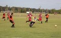 IMG_9466