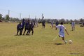 IMG_4456