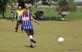 IMG_3469