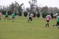 IMG_3455