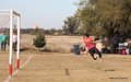 IMG_0204