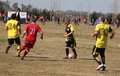 IMG_3106